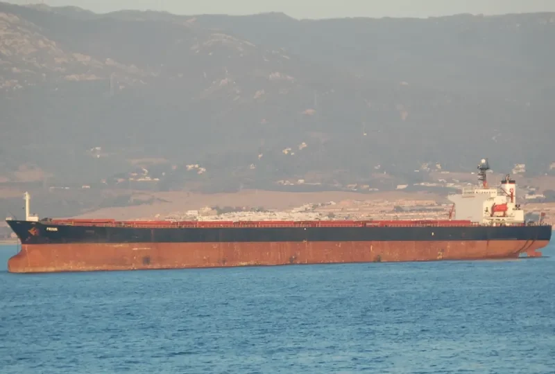 AODABAO Bulk Carrier IMO 9086928 photo 9