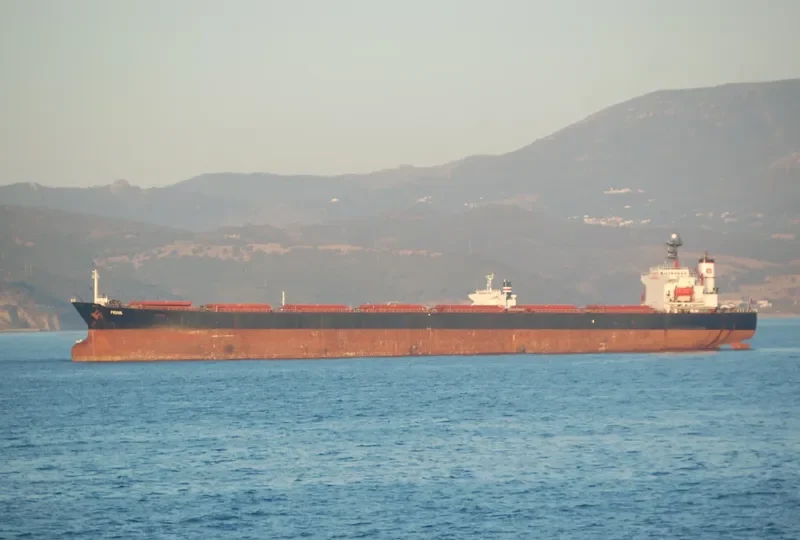 AODABAO Bulk Carrier IMO 9086928 photo 10
