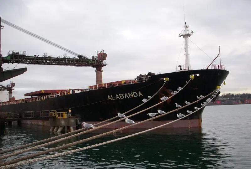 YUE SHUN HAI Bulk Carrier IMO 9086930 photo 5