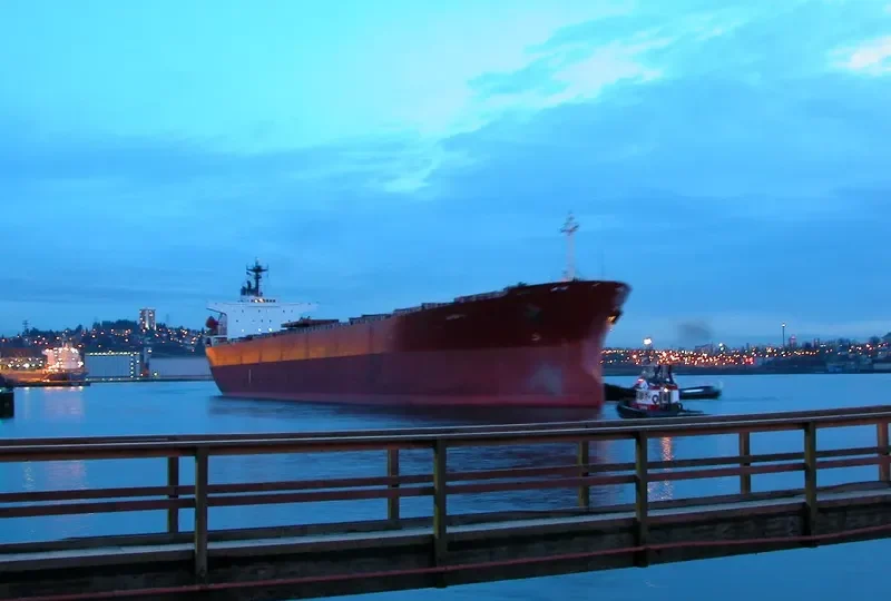 YUE SHUN HAI Bulk Carrier IMO 9086930 photo 6