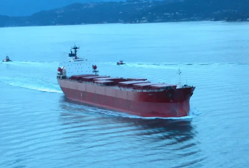 YUE SHUN HAI Bulk Carrier IMO 9086930 photo 8