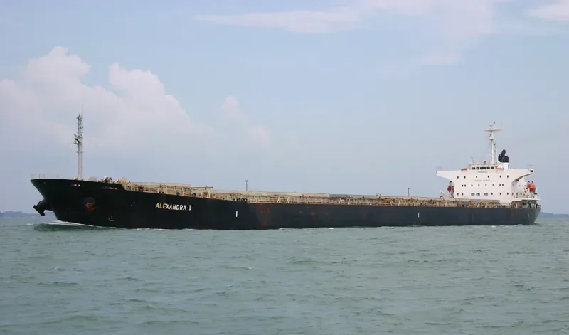 SHI DAI 5 Bulk Carrier IMO 9086942 photo 3