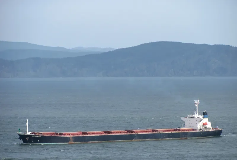 GUO DIAN 22 Bulk Carrier IMO 9086954 photo 9