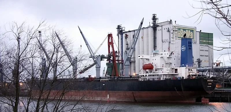 YU HUA Bulk Carrier IMO 9086966 photo 4