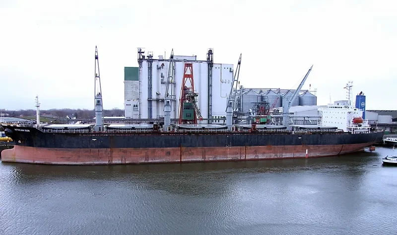 YU HUA Bulk Carrier IMO 9086966 photo 5