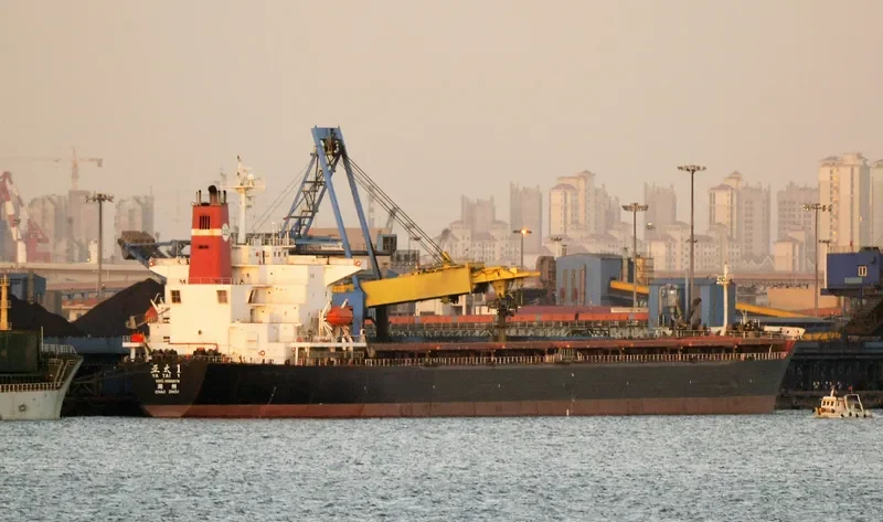 YA TAI 1 Bulk Carrier IMO 9086978