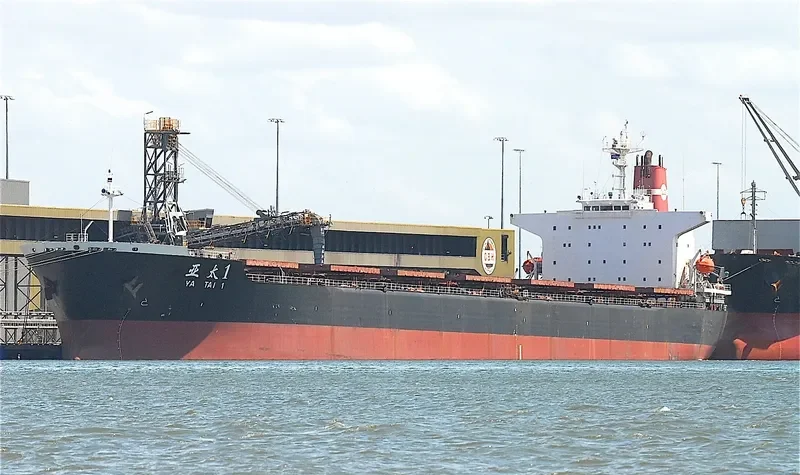 YA TAI 1 Bulk Carrier IMO 9086978 photo 2