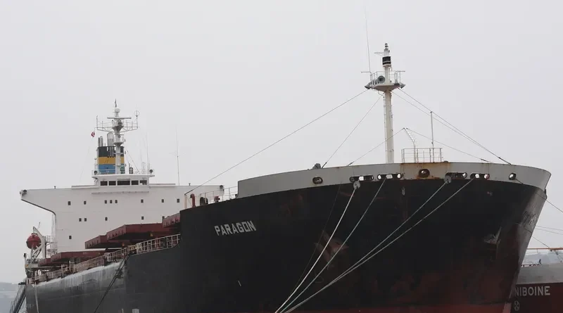 YA TAI 1 Bulk Carrier IMO 9086978 photo 3