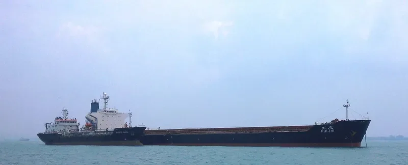 HUI ZHI Bulk Carrier IMO 9086980