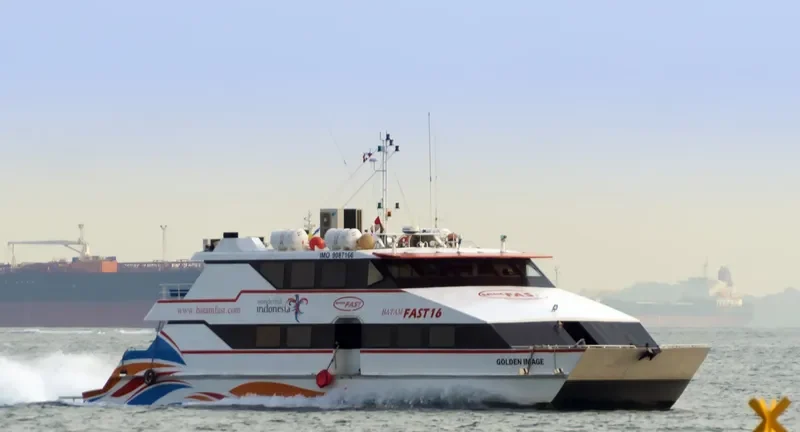 GOLDEN IMAGE Passenger Ship IMO 9087166 photo 9