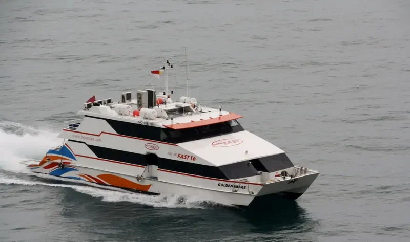 GOLDEN IMAGE Passenger Ship IMO 9087166 photo 10