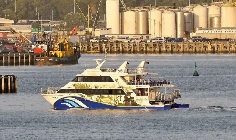 TIRI CAT Passenger Ship IMO 9087178