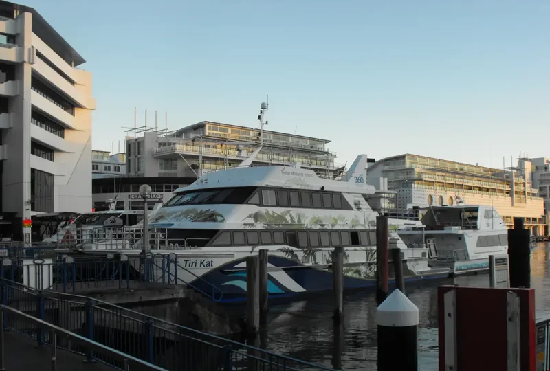 TIRI CAT Passenger Ship IMO 9087178 photo 9