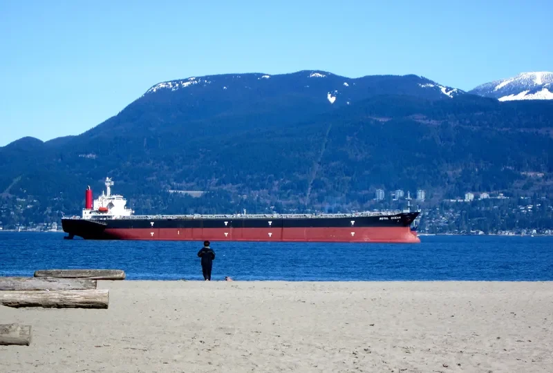 OCEAN 8 Bulk Carrier IMO 9087192 photo 3
