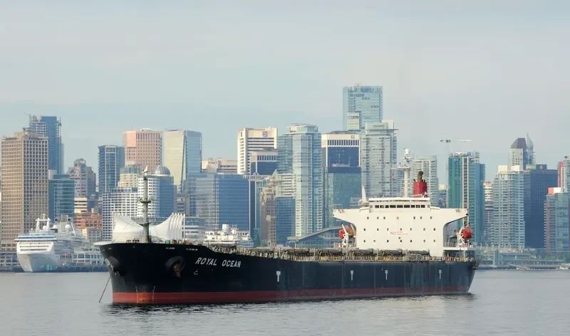 OCEAN 8 Bulk Carrier IMO 9087192 photo 5