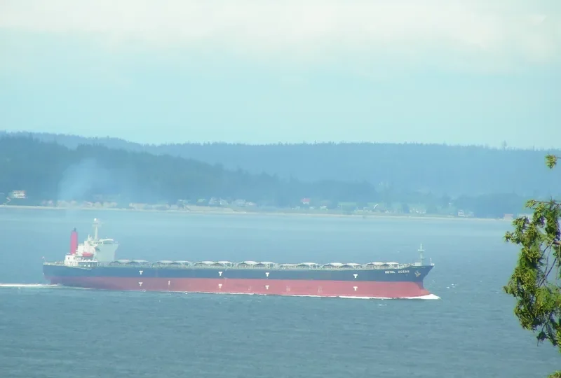 OCEAN 8 Bulk Carrier IMO 9087192 photo 10