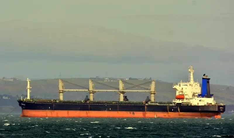 ZENA A Bulk Carrier IMO 9087221 photo 2