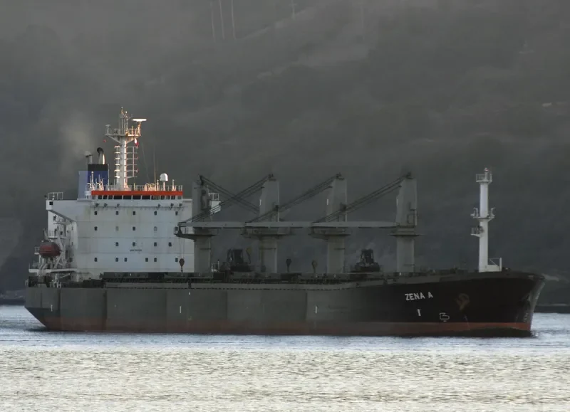ZENA A Bulk Carrier IMO 9087221 photo 3
