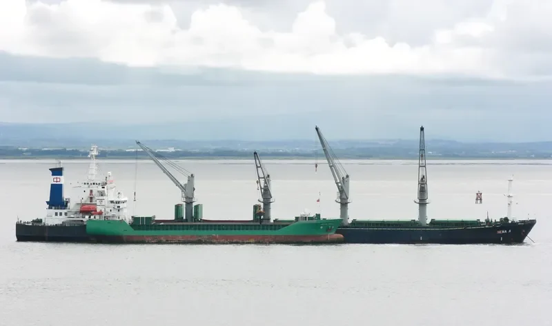 ZENA A Bulk Carrier IMO 9087221 photo 7