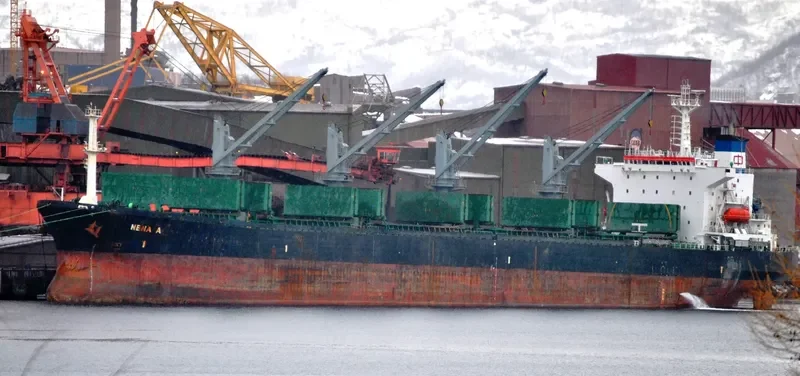 ZENA A Bulk Carrier IMO 9087221 photo 9