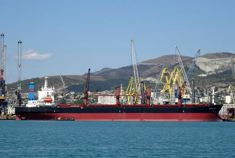 FATMA SARI Bulk Carrier IMO 9087233