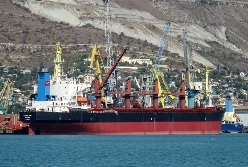 FATMA SARI Bulk Carrier IMO 9087233 photo 2