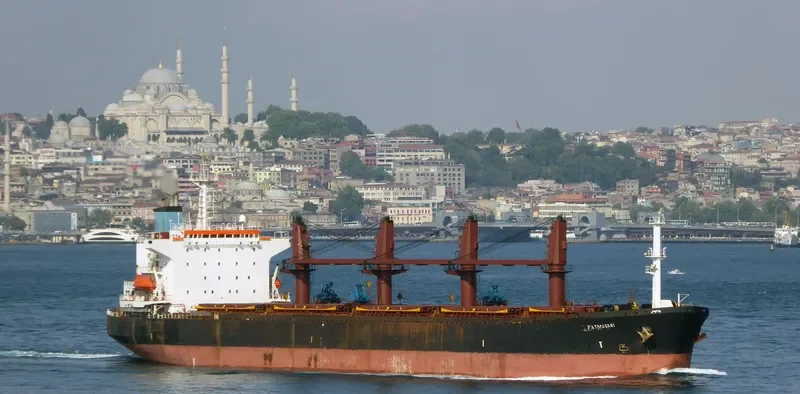 FATMA SARI Bulk Carrier IMO 9087233 photo 3