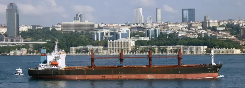 FATMA SARI Bulk Carrier IMO 9087233 photo 4