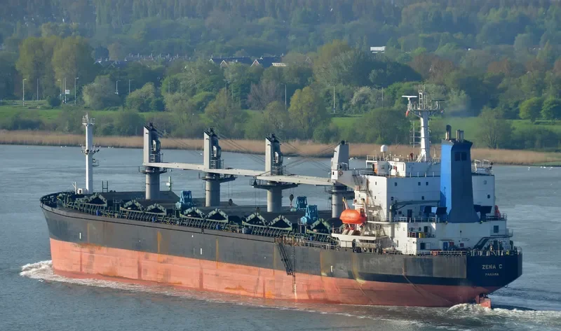 FATMA SARI Bulk Carrier IMO 9087233 photo 5