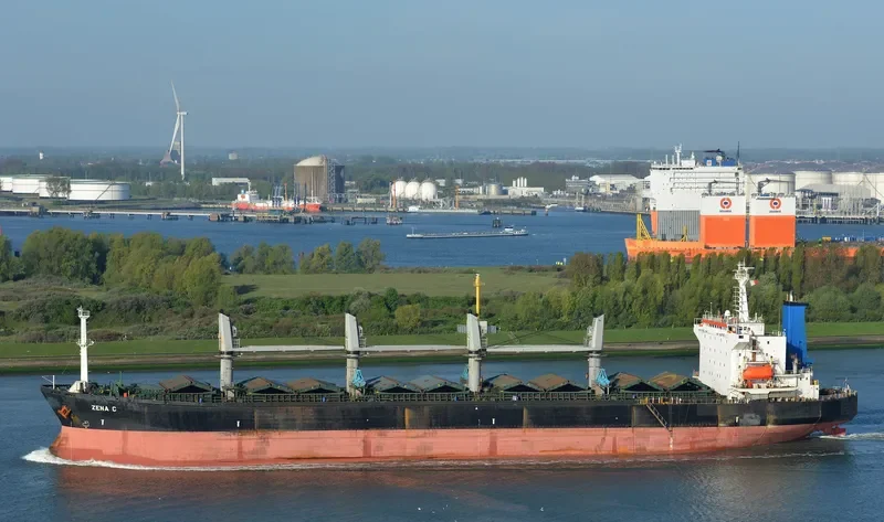 FATMA SARI Bulk Carrier IMO 9087233 photo 6