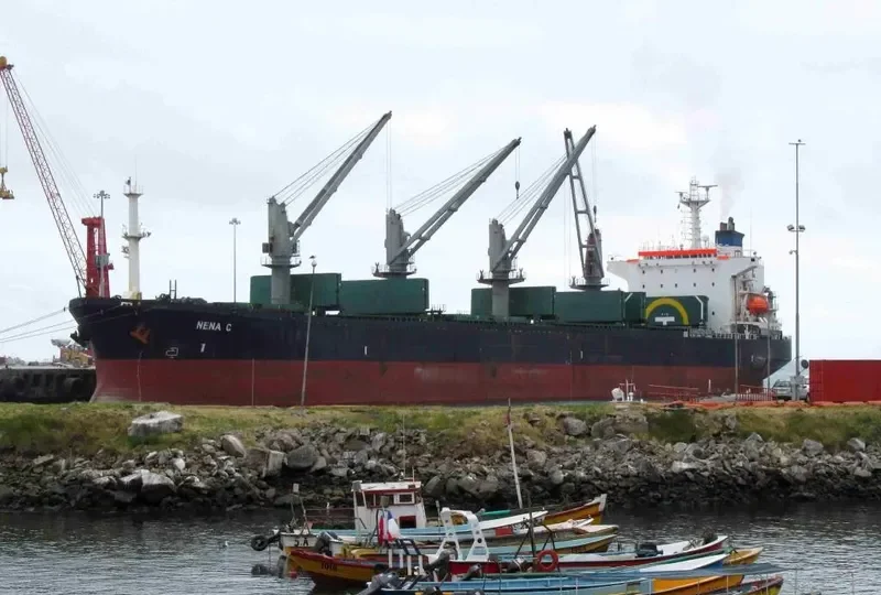 FATMA SARI Bulk Carrier IMO 9087233 photo 7