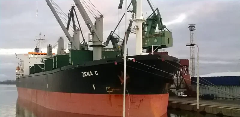 FATMA SARI Bulk Carrier IMO 9087233 photo 8