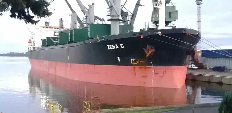 FATMA SARI Bulk Carrier IMO 9087233 photo 9