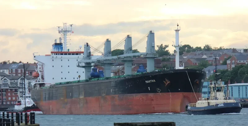 MARTHA Bulk Carrier IMO 9087245 photo 3