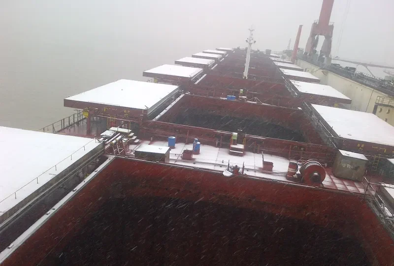 ADAMASTOS Bulk Carrier IMO 9087269 photo 2