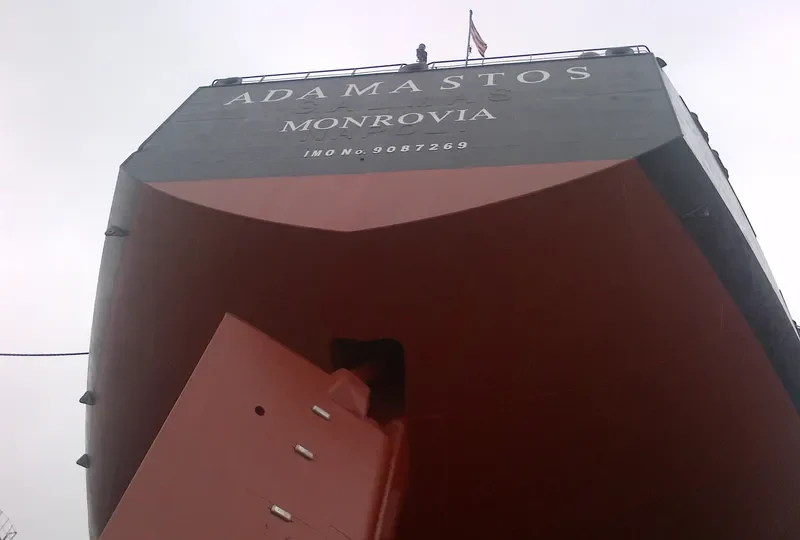 ADAMASTOS Bulk Carrier IMO 9087269 photo 3