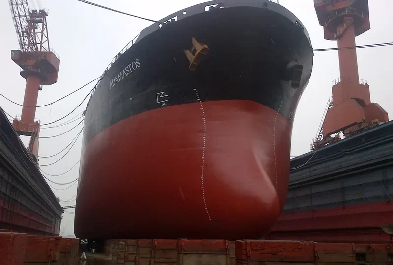 ADAMASTOS Bulk Carrier IMO 9087269 photo 4