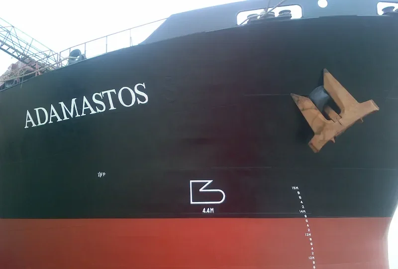 ADAMASTOS Bulk Carrier IMO 9087269 photo 5