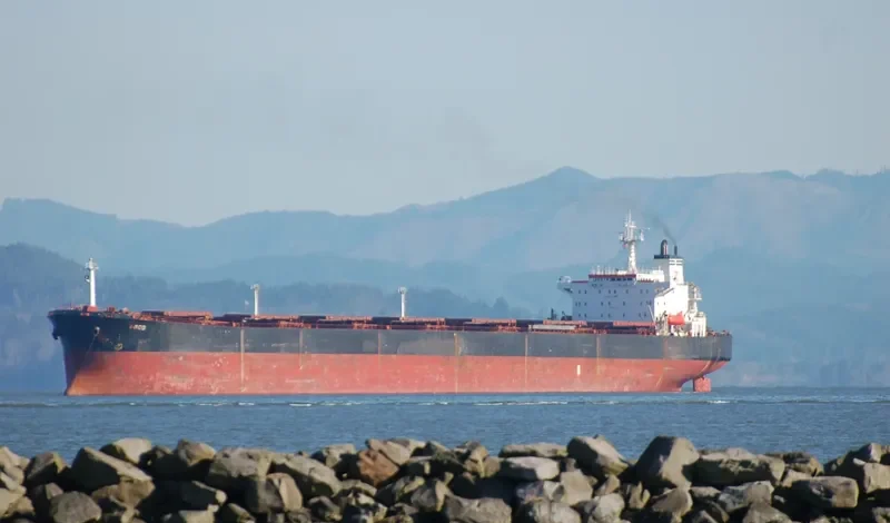 ADAMASTOS Bulk Carrier IMO 9087269 photo 6