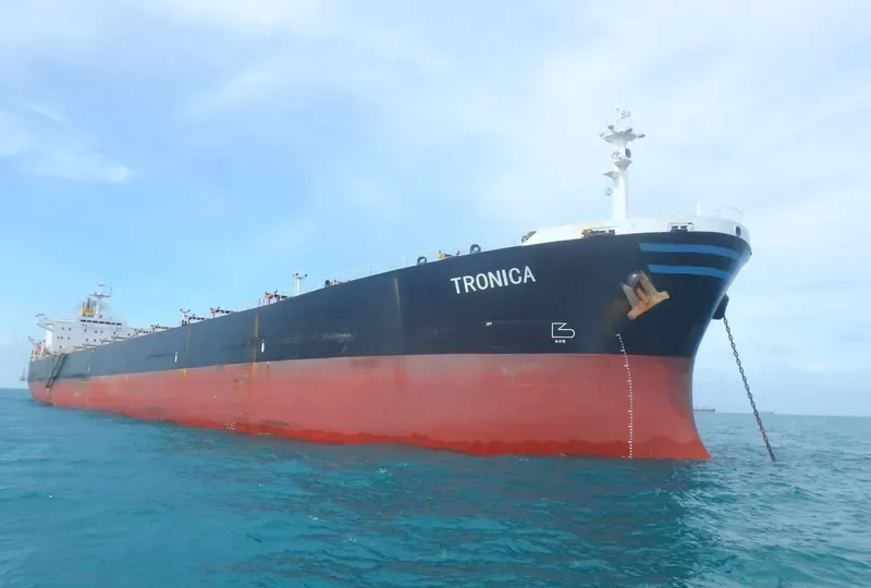 ELECTRONICA Bulk Carrier IMO 9087271 photo 2