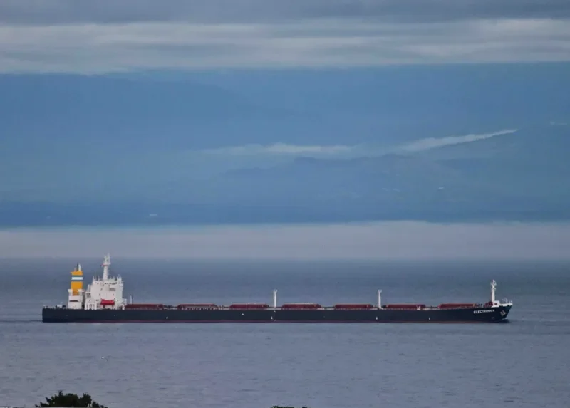 ELECTRONICA Bulk Carrier IMO 9087271 photo 3