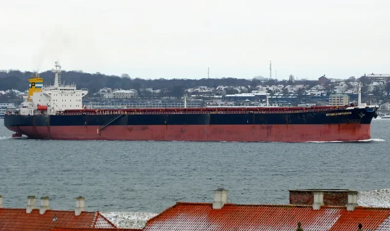 ELECTRONICA Bulk Carrier IMO 9087271 photo 7