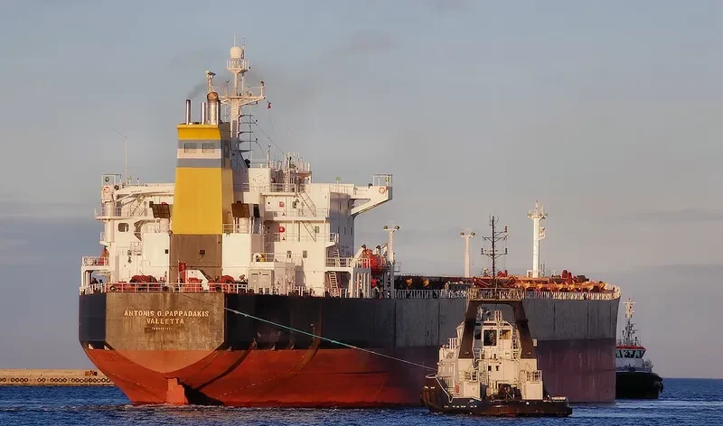 ELECTRONICA Bulk Carrier IMO 9087271 photo 9