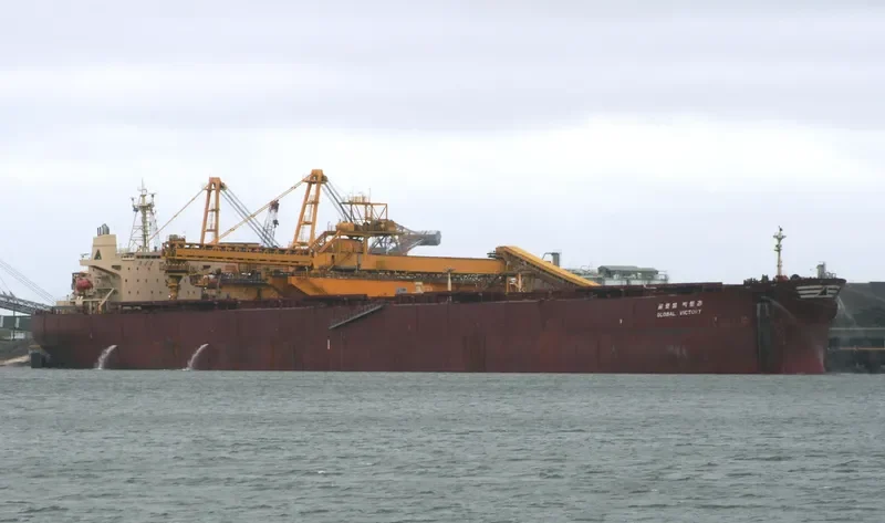 GLOBAL VICTORY Bulk Carrier IMO 9087283 photo 2