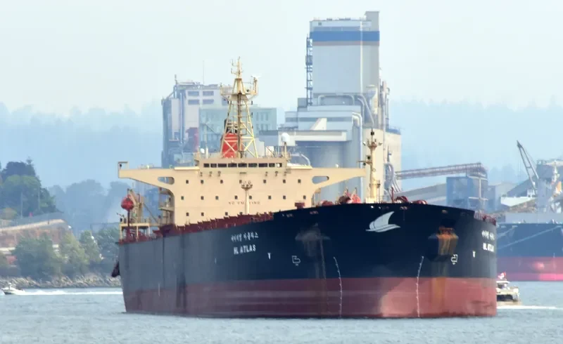 LISA II Bulk Carrier IMO 9087295 photo 3