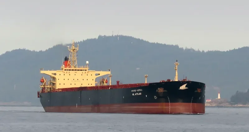 LISA II Bulk Carrier IMO 9087295 photo 7
