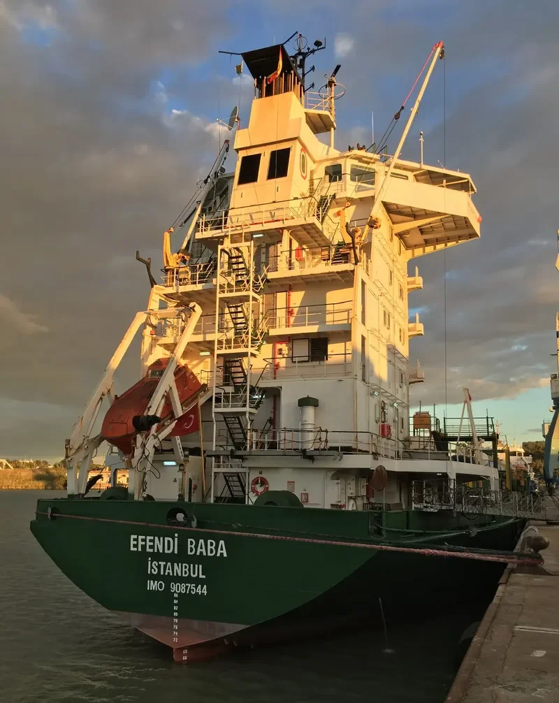 EFENDI BABA Container Ship IMO 9087544 photo 2
