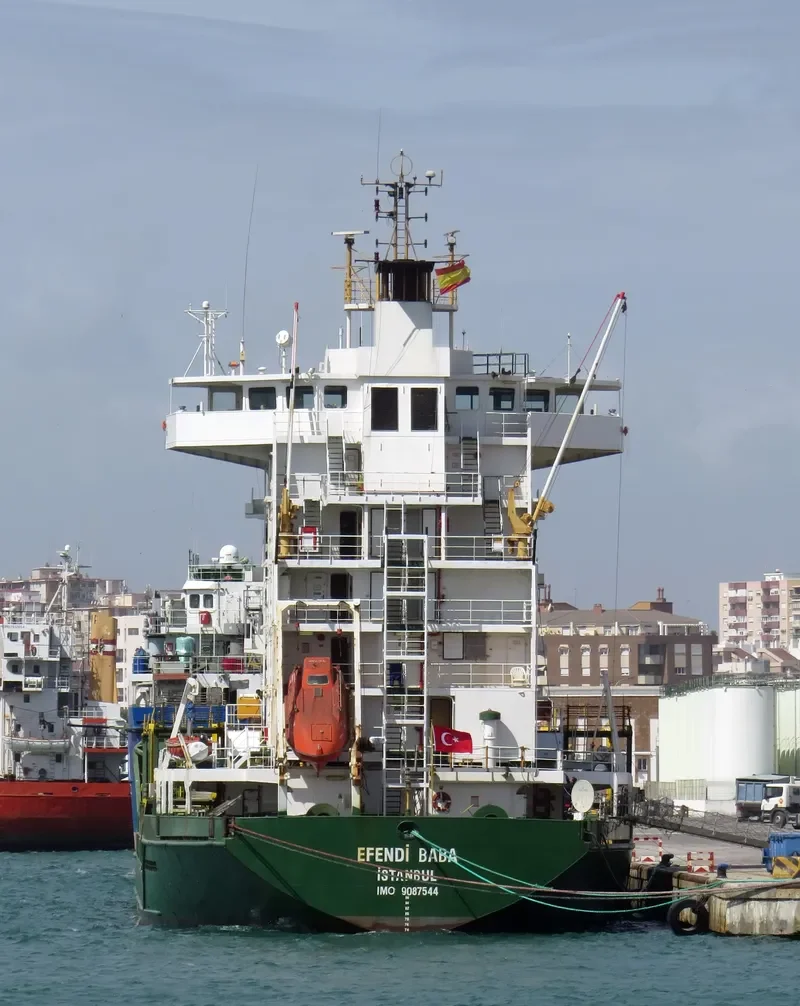 EFENDI BABA Container Ship IMO 9087544 photo 4