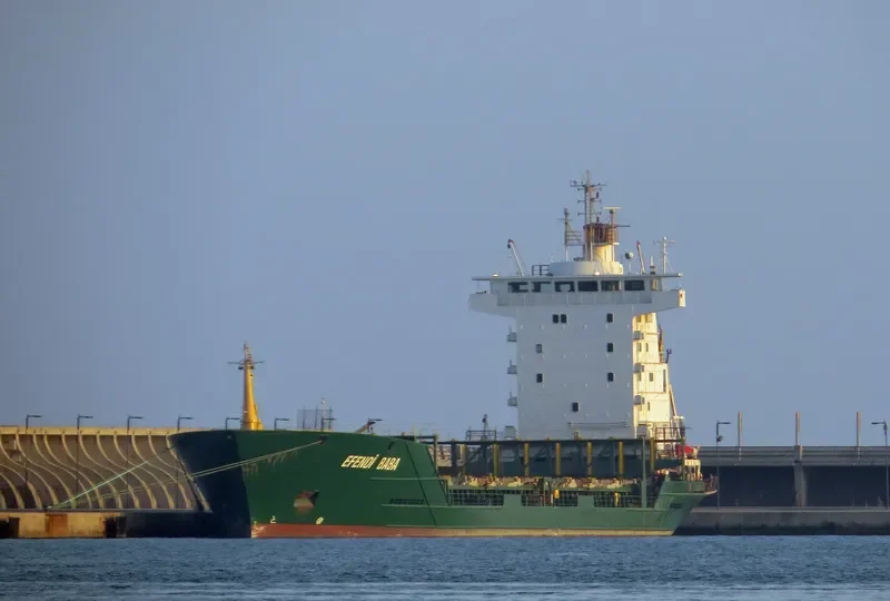 EFENDI BABA Container Ship IMO 9087544 photo 7