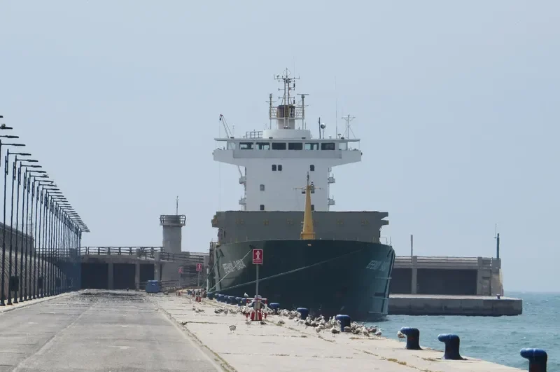 EFENDI BABA Container Ship IMO 9087544 photo 8